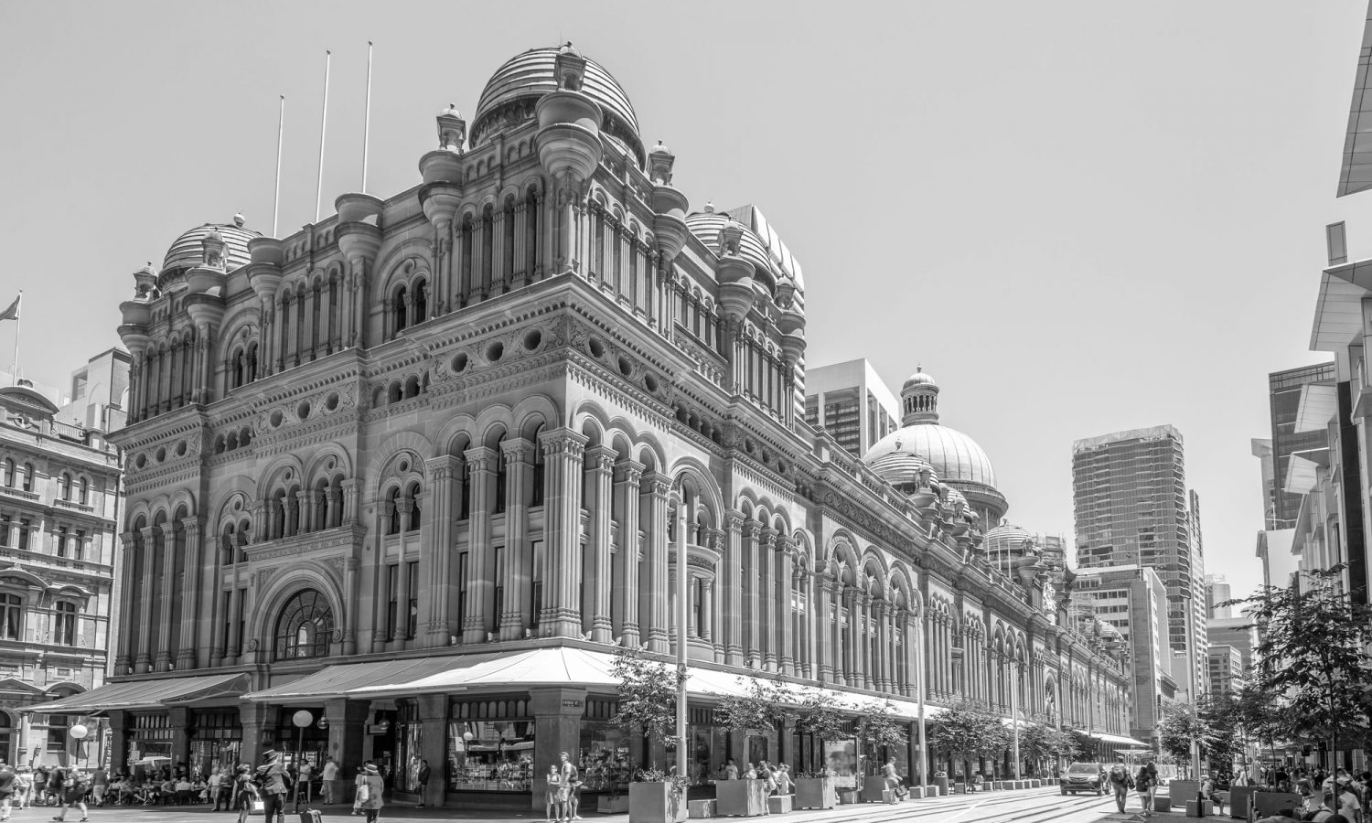 domestic-options-australia-Contact