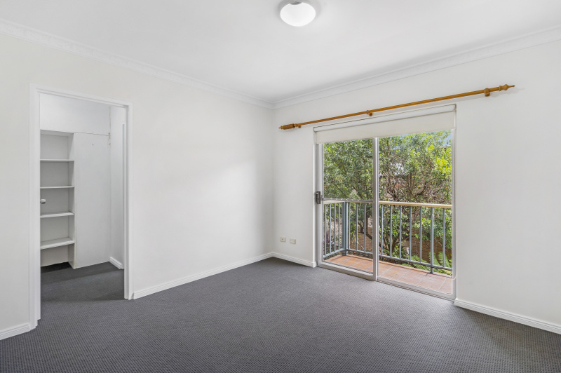 Domestic Options picture 3