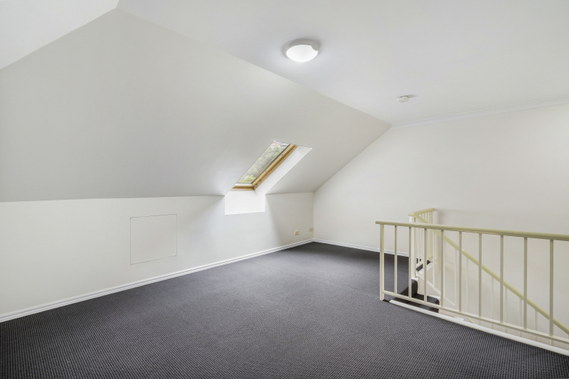 Domestic Options picture 4