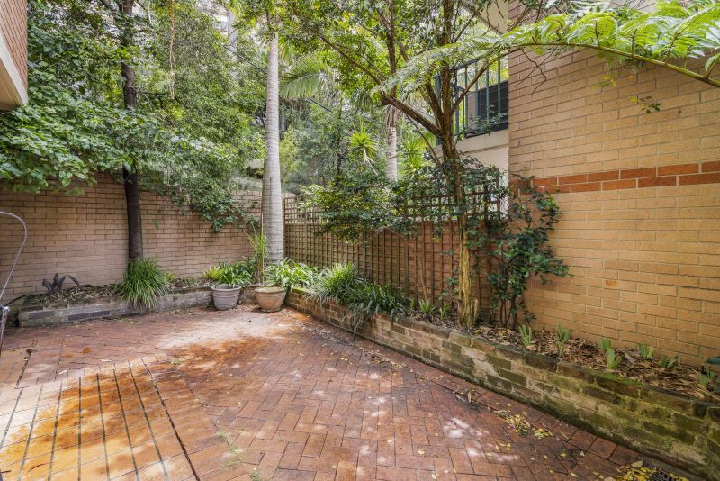 Domestic Options picture 5