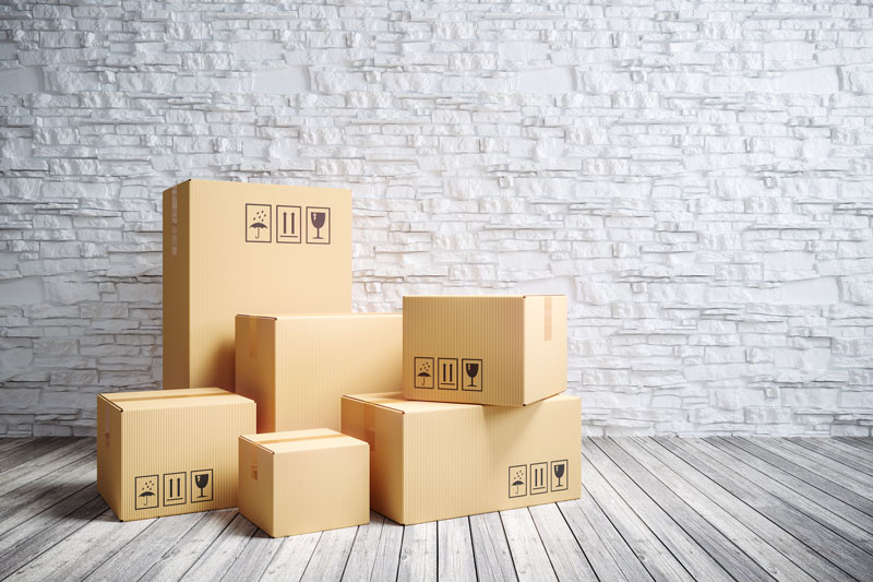 Domestic-Options-picture-7